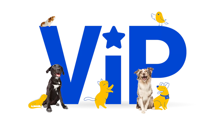 Image for Pet Supermarket's VIP program, featuring the letters "VIP" in bold blue with a star inside the "I." Surrounding the letters are various peticons and real pets, including a black dog, an Australian Shepherd, a guinea pig, a lizard, and a bird.